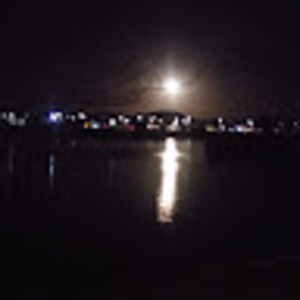 Meet your Posher, Liz